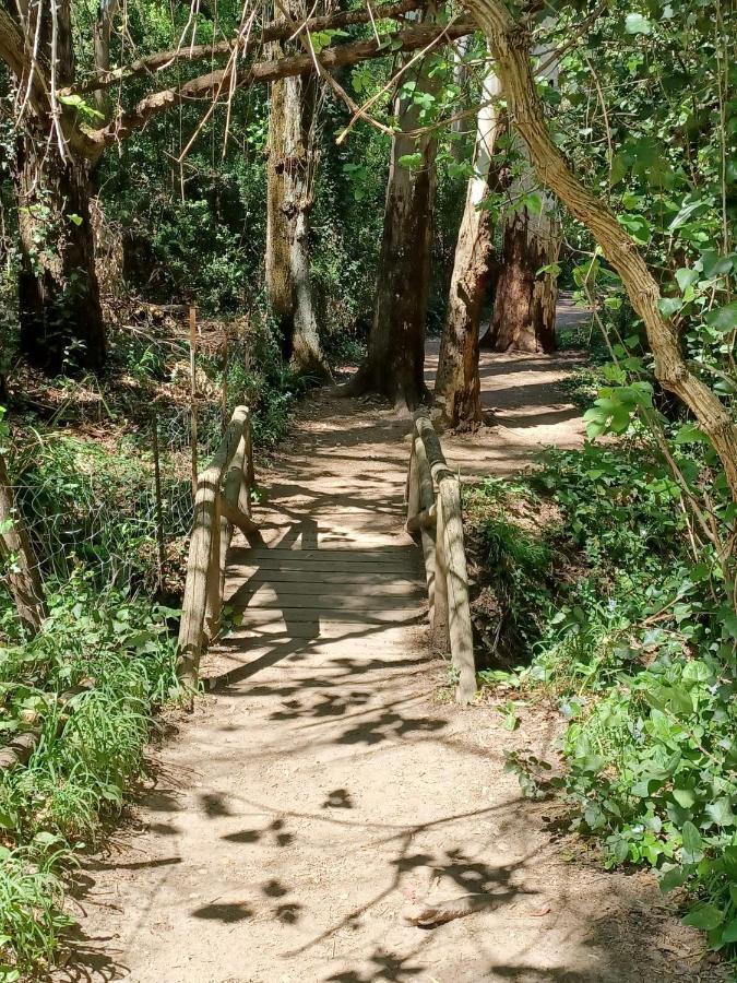 Casa Sendero Del Rio Villa El Bosque Dış mekan fotoğraf