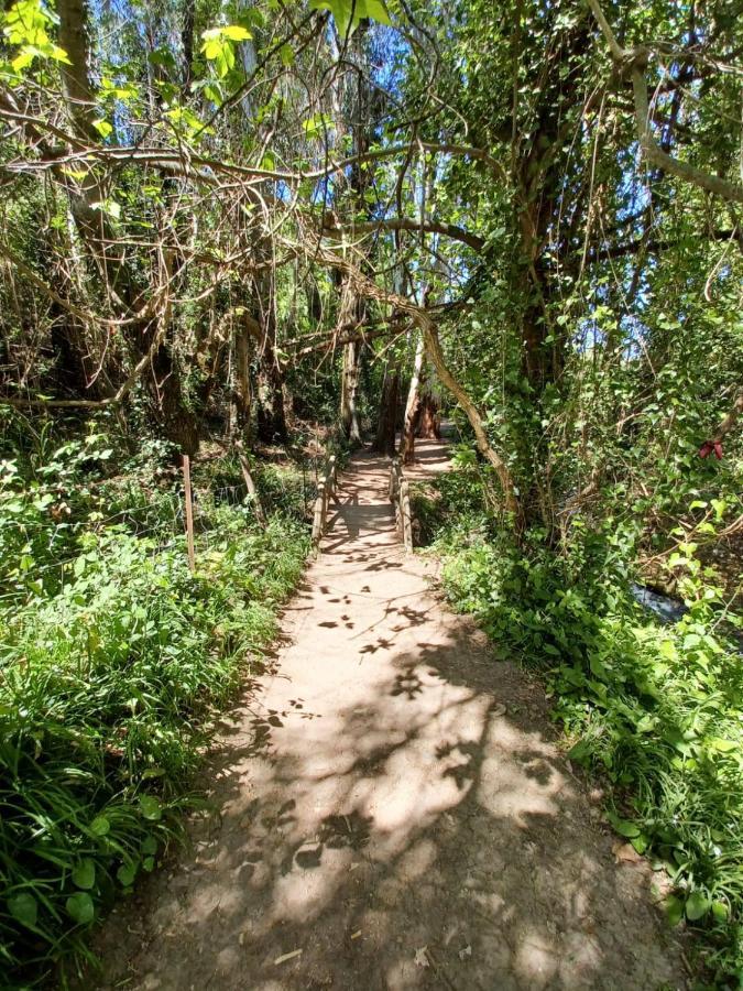 Casa Sendero Del Rio Villa El Bosque Dış mekan fotoğraf